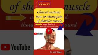 clinical anatomy | shoulder muscle pain | #anatomy #physio #pain #shortsfeed #shortvideos #shorts