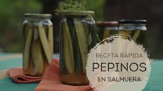 ¡Pepinos en salmuera: rápido y delicioso!