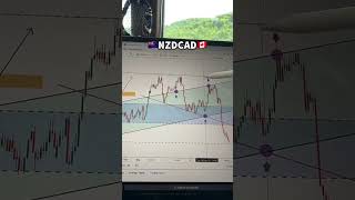 NZDCAD #trade #forex #shorts