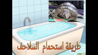 طريقة استحمام السلاحف