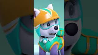 PAW Patrol : La Pat' Patrouille | Everest à la rescousse d'un baleineau ! 🐳 #Shorts