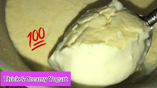 Thick & Creamy Home-made Yogurt | Sweet Yogurt | *ماست ملائی دار و شرین*