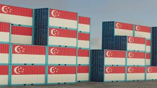 Singapore export import container footage!