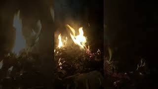 Color green fire #trending #viralvideo #viralshort #ytshorts #viralvideo