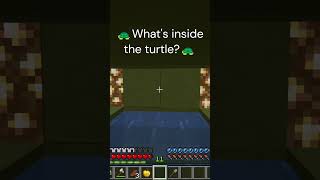 🐢What's inside the turtle? 🐢 #minecraft #meme #minecraftmemes