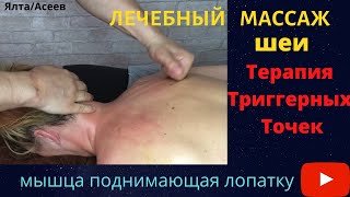 Лечебный массаж шейно-воротниковой зоны. Терапия Триггерных Точек.