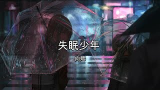 失眠少年 - 向熙【高音质】【歌词-Lyrics】