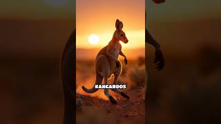 Why Kangaroos Are Amazing Hoppers