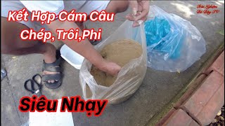 Hướng dẫn kết hợp 4 loại cám tanh câu cá chép,trôi, phi siêu nhạy