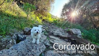 LOMO del CORCOVADO. Bco. de las VACAS (comentada)(diciembre 2022)