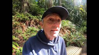 Miracles Magic Healing From the Chuckanut Mountain Trails