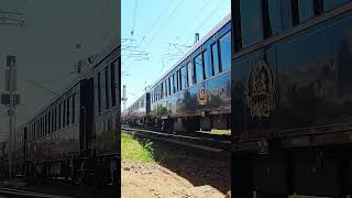 #shorts Orient Express  Elegance in Bucharest, Romania #train