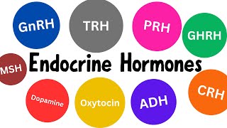 Endocrine Hormones in Just 10 min!!