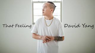 That Feeling  - David Yang (Produced By Dj Pain1)