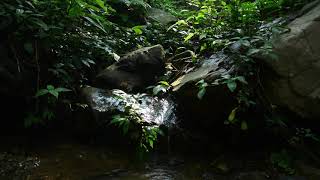 In the jungle || cleaning the jungle temple to worship nature GOD ||