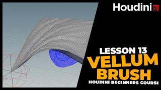 Discover the Hidden Power of Vellum Brush in Houdini | Lesson 13