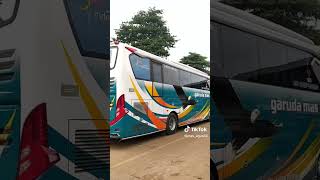 bus garuda mas sigle glas terbaru