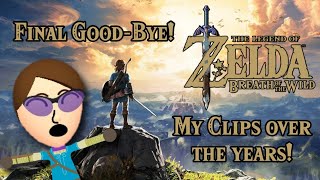 One Last Good-Bye To BotW Before TotK Releases