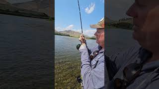 outfitter Rick Knight with a great rainbow on a dry! #montanaflyfishing #fishing #flyfishmontana