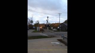 The SRI Train arriving downtown Petoskey