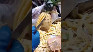 Amazing Art 😍 Stylish Pineapple Cutting#shorts #streetfood