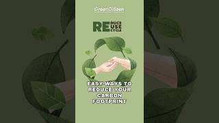 Easy Ways To Reduce Your Carbon Footprint