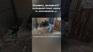 #крышка_малышка57 #никсорел  #дети #благотворительность