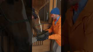 Blippi's Horsin' Around | Learn Animals with Blippi! #shorts #Blippi #Animals