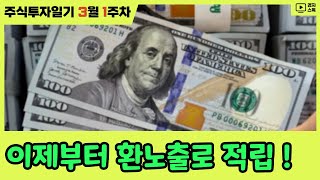 [주식투자일기] 3월 1주차 ㅣ 미국배당다우존스 환노출로 적립 ㅣ JEPI, JEPQ 배당금