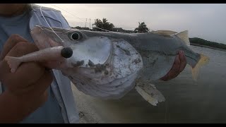 S5:E7 Los ROBALOS se vuelven LOCOS con este señuelo | Pesca de Orilla