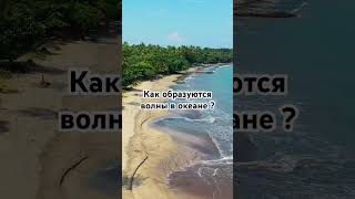 Как образуются волны в океане ? #shorts #океан #море #волны #интересныефакты #интересно #океаны