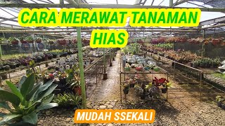 Cara Merawat tanaman || cara menyiram tanaman hias