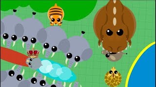 mope.io//pllexx h20//new update//rhino glitch//tiger vs tiger?//funny moments