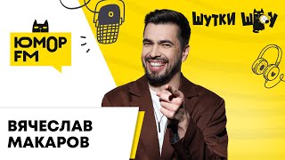 Вячеслав Макаров - Рассказывает про новый трек и поёт голосом кота