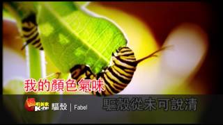 驅殼 - Fabel ( K-Net 熱唱新歌)