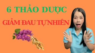 6  Loại THUỐC GIẢM ĐAU  từ THẢO DƯỢC TỰ NHIÊN Hiệu Quả| Thảo Dược Giảm Đau| Giảm Đau Bụng| Vikicare