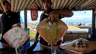 Extremely Beautiful Stingray Ray Fish Cutting Skills Live Biggest Fish Market in Village