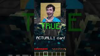 Busting 5 Minecraft Myths in 43 Seconds