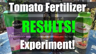 Tomato Fertilizer Experiment RESULTS (Bloom Booster vs. Balanced) Pt.2 [Adv.15]