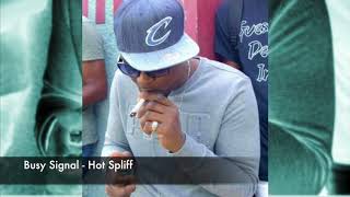 Busy Signal - Hot Spliff [Official Audio]