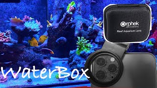 Orphek Lens Review|| Waterbox Aquarium