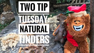 Two Tip Tuesday: Natural Tinders