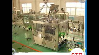 Automatic Bottle Shampoo Filling Machine With Piston Type Filling