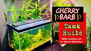 🍒🎋Cherry Barb Tank Build 🎋🍒