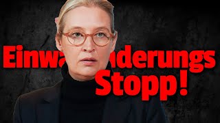 Weidel fordert mindestens fünf Jahre EINWANDERUNGS-STOPP