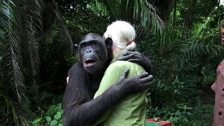 Animals Being Freed For The Very First Time | Emotional Video