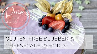 Gluten-free Blueberry Cheesecake #shorts