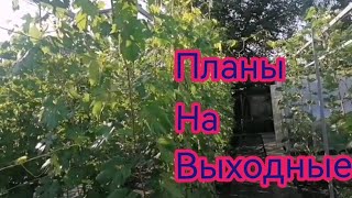 Планы на выходные