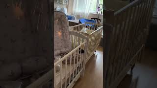 Шоурум Лель с кроватками из бука#детскаямебель#товарыдлядетей#baby#мамавдекрете#топ