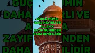 Allah Resülü buyurdu; Güçlü mümin daha hayırlı ve Allah'a zayıf müminden daha sevimlidir. 🌺❤️🌲💐🪴